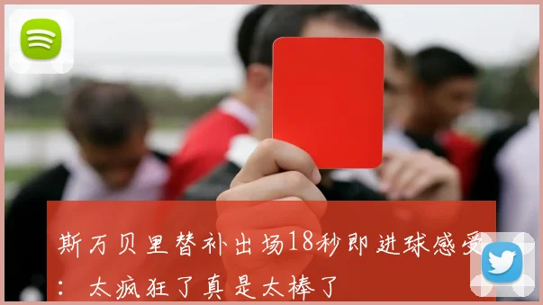 斯万贝里替补出场18秒即进球感受：太疯狂了真是太棒了