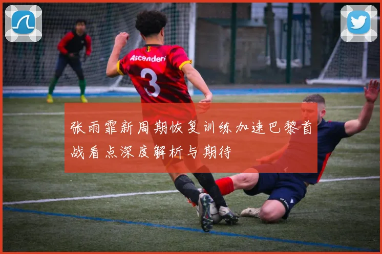 张雨霏新周期恢复训练加速巴黎首战看点深度解析与期待