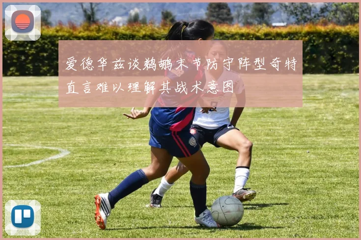 爱德华兹谈鹈鹕末节防守阵型奇特直言难以理解其战术意图