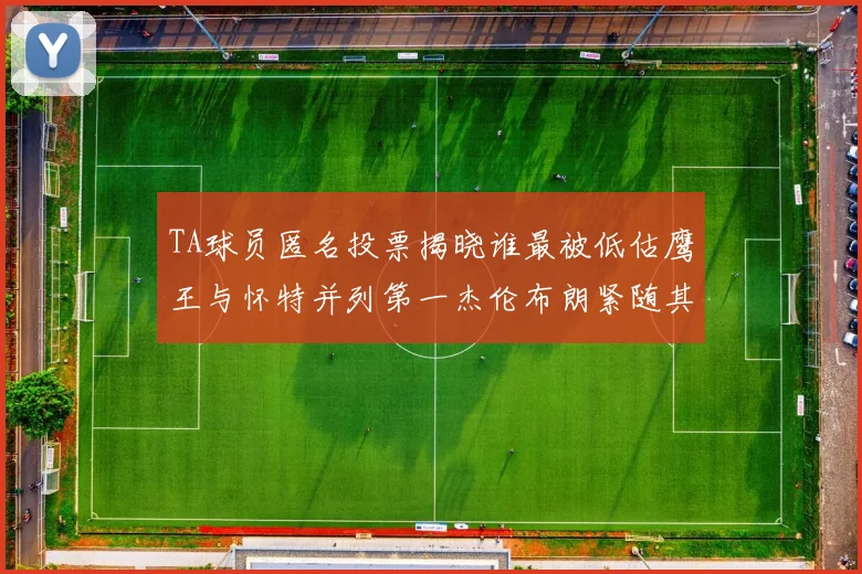 TA球员匿名投票揭晓谁最被低估鹰王与怀特并列第一杰伦布朗紧随其后